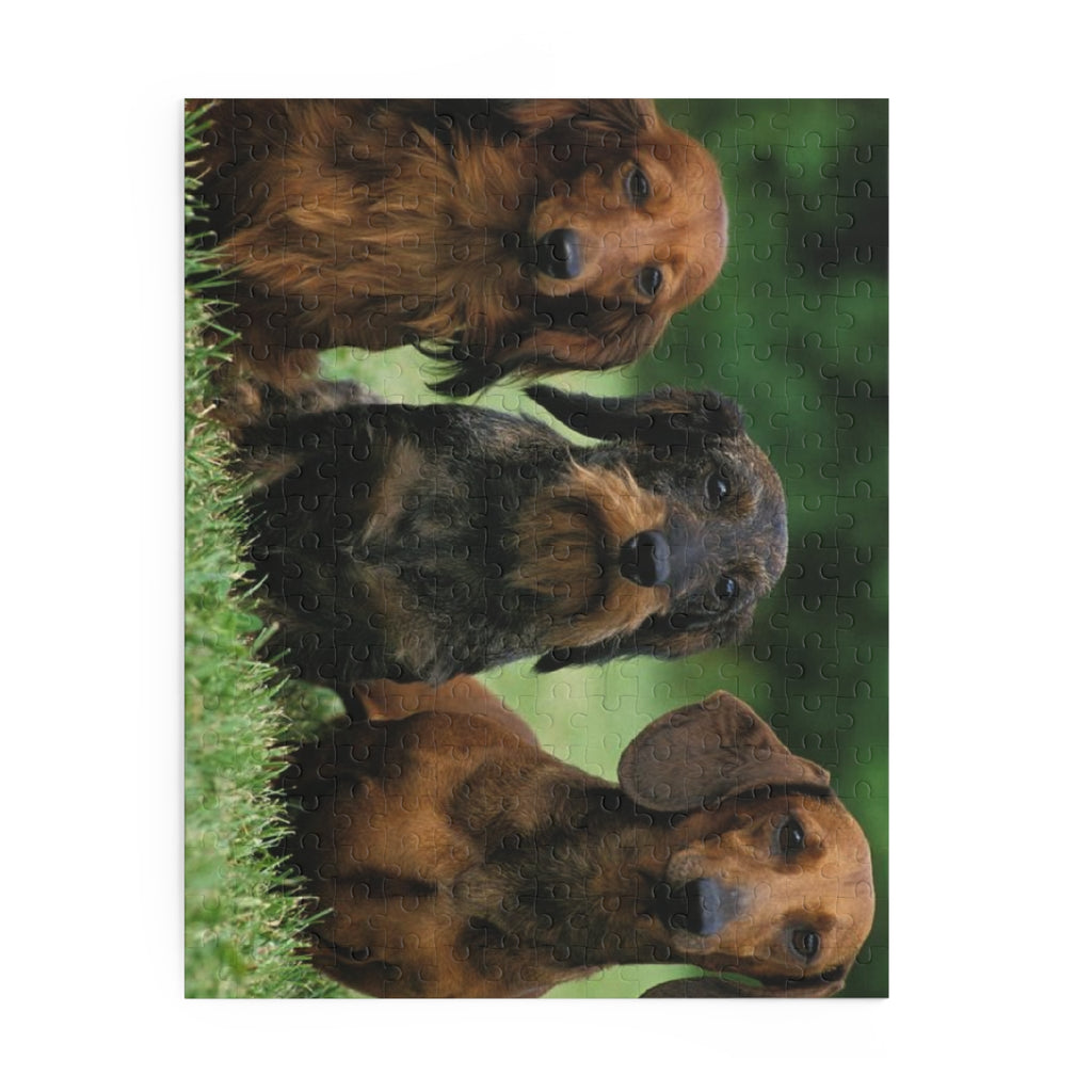 Dachshund  Puzzle - 120, 252 & 500-Piece