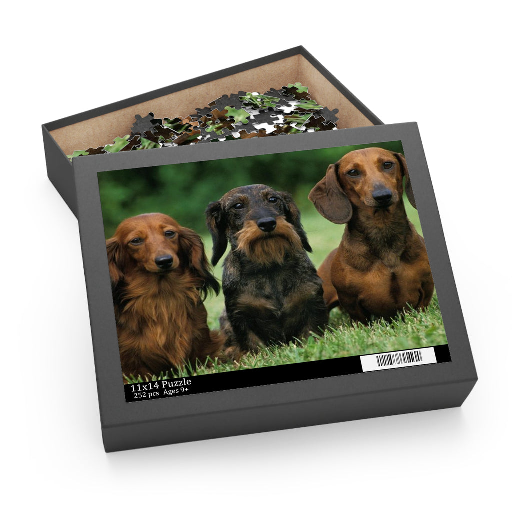 Dachshund  Puzzle - 120, 252 & 500-Piece