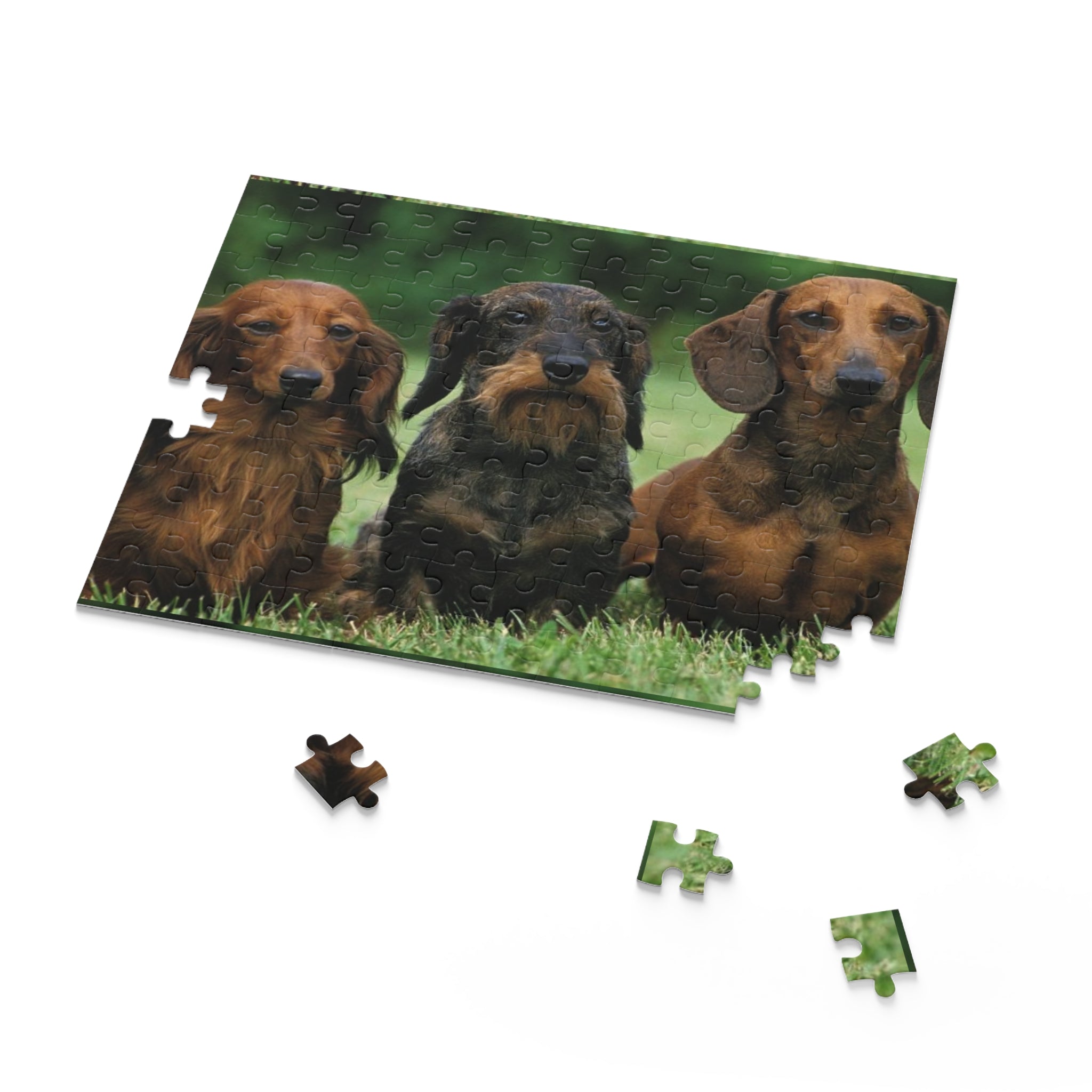 Dachshund  Puzzle - 120, 252 & 500-Piece