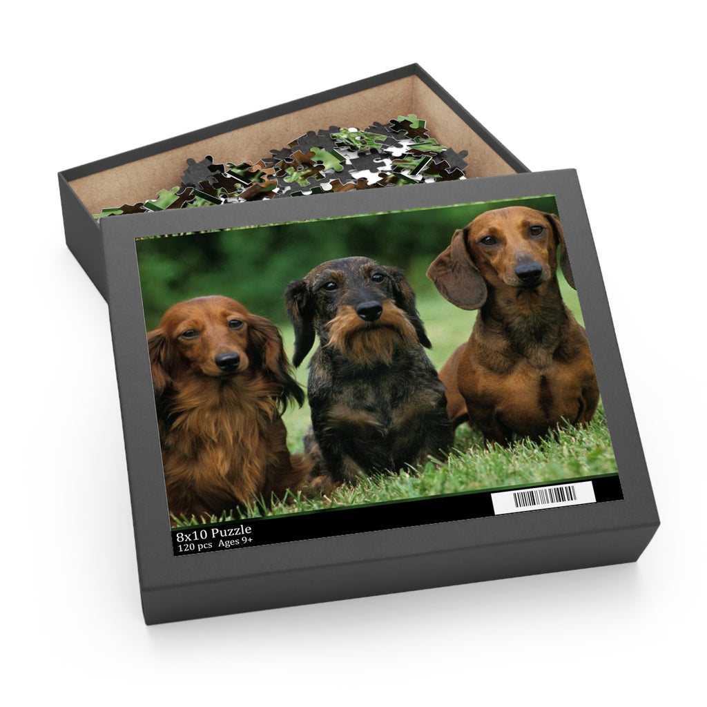 Dachshund  Puzzle - 120, 252 & 500-Piece