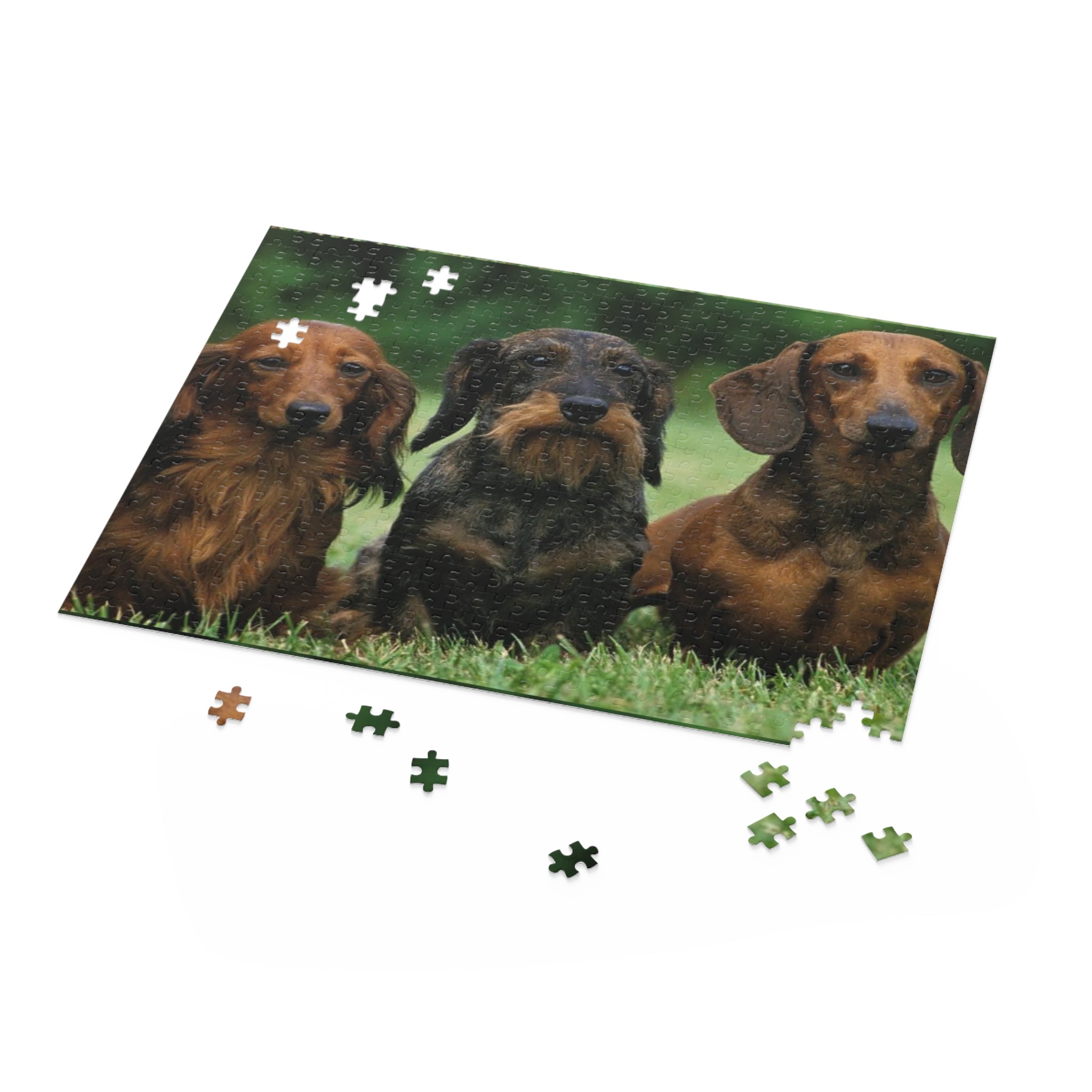 Dachshund  Puzzle - 120, 252 & 500-Piece