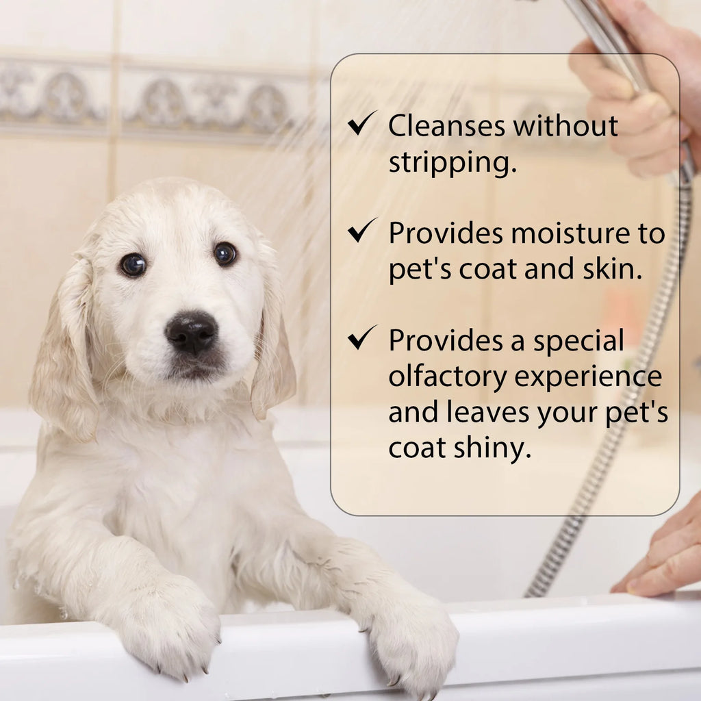 Yegbong Pet Shampoo – Anti-Flea, Itch-Relief & Moisturizing Dog & Cat Hair Wash (100ml / 300ml)