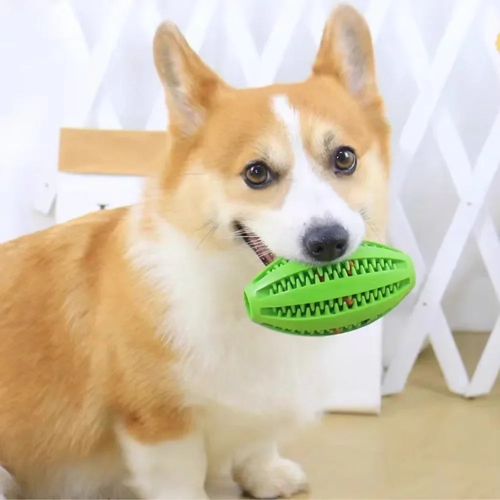 Extra-Tough Rubber Dog Ball