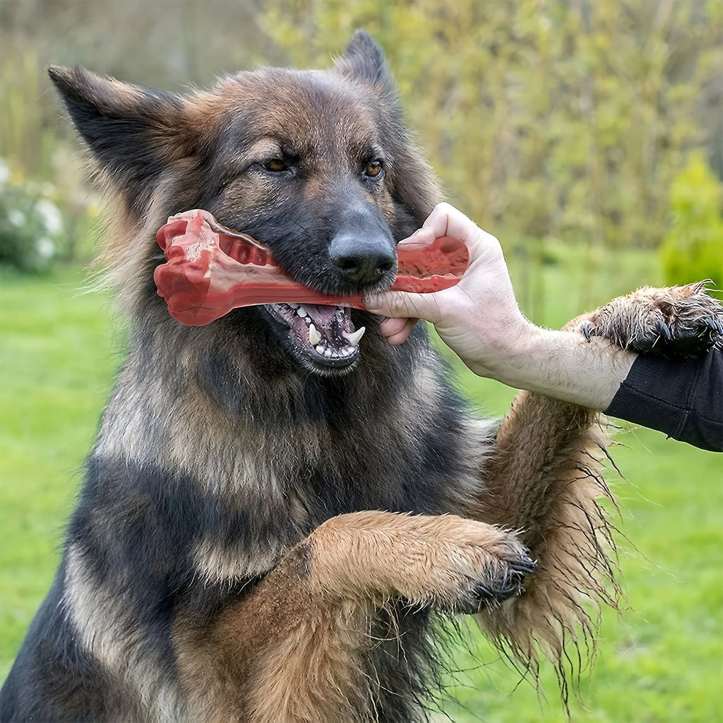 Ultra-Durable Dog Chew Toy – Tough Rubber Bone for Power Chewers