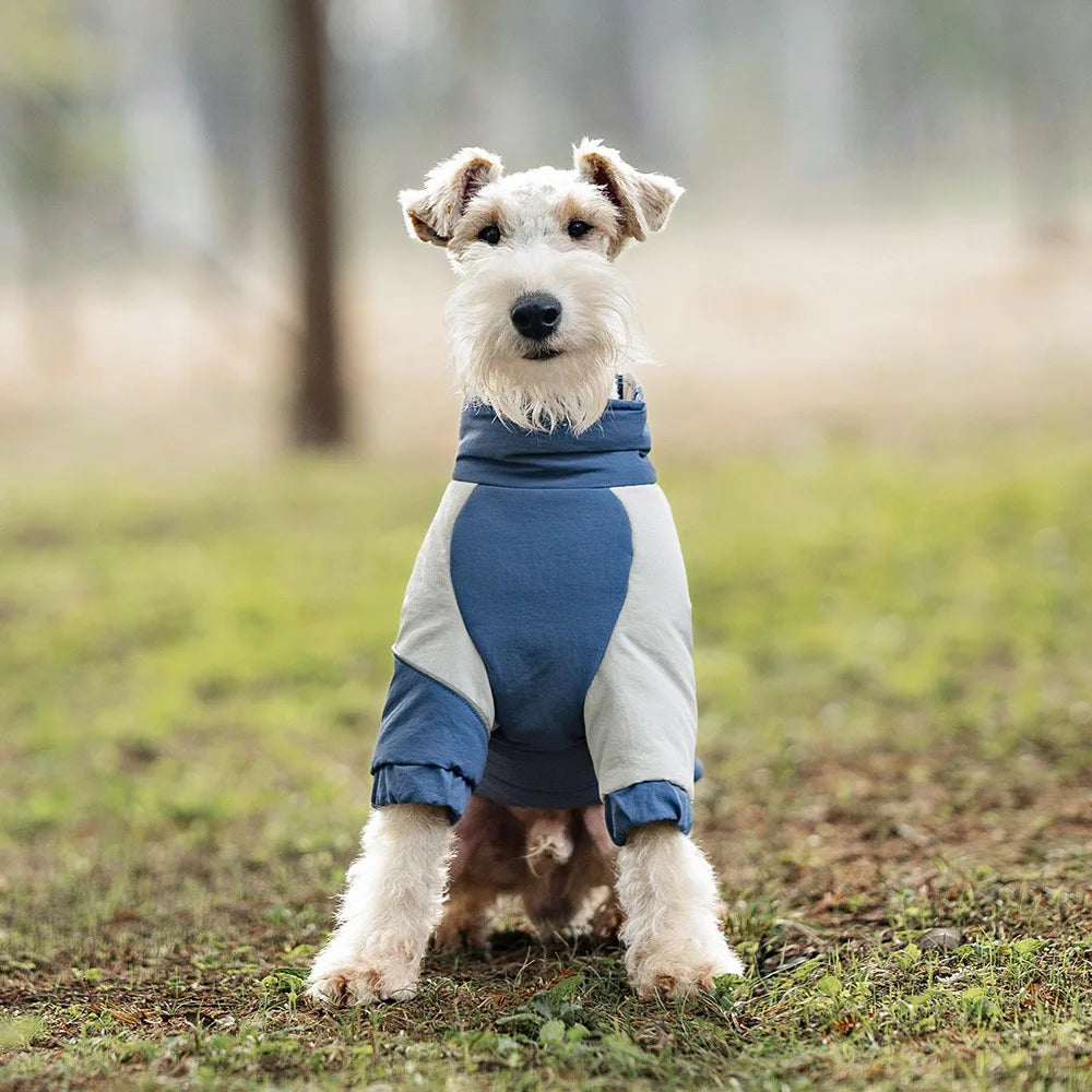 Winter Windproof Dog Coat – Warm Cotton Jacket for Small, Medium & Large Dogs