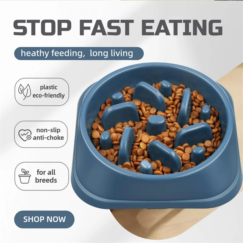 Slow Feeder Dog Bowl