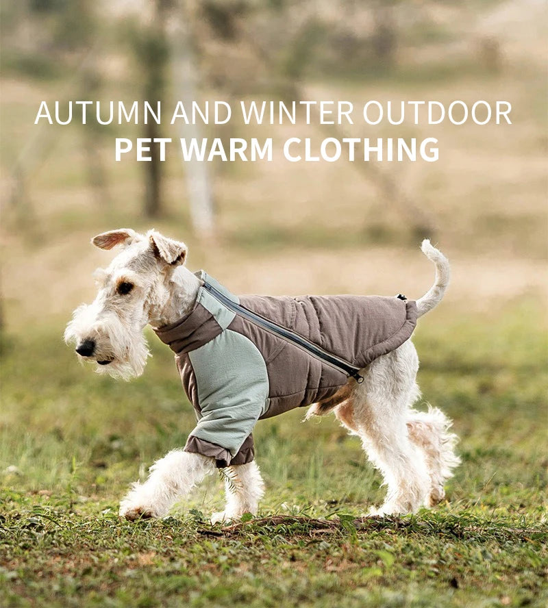 Winter Windproof Dog Coat – Warm Cotton Jacket for Small, Medium & Large Dogs