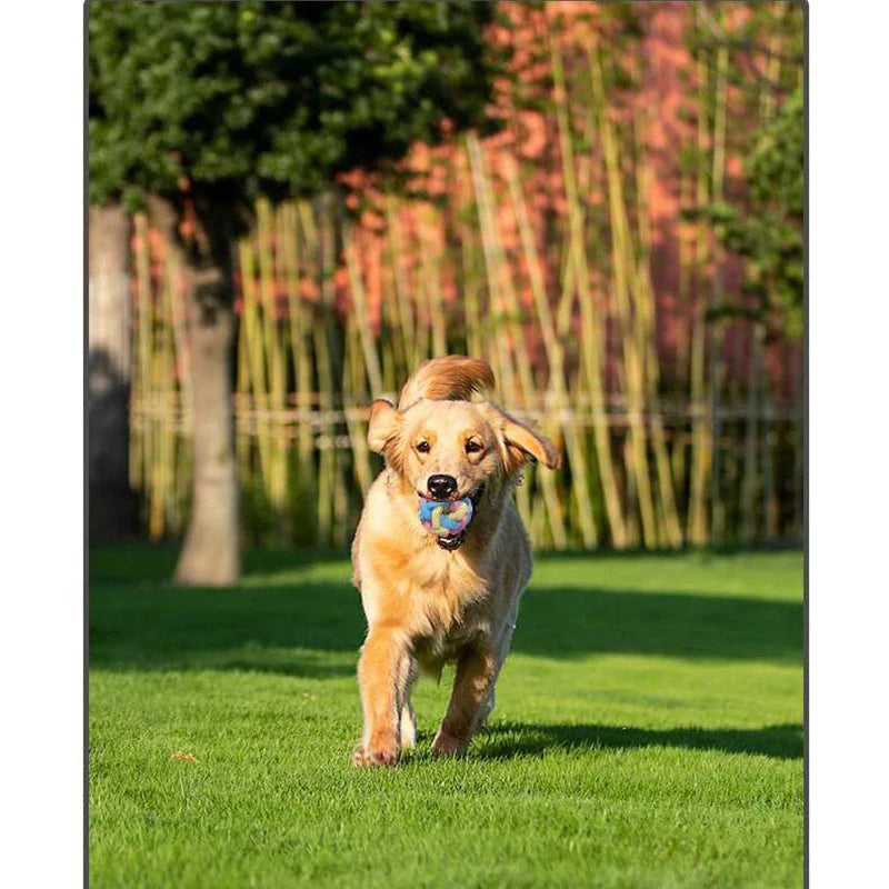 Interactive Dog Chew Ball – Durable Colorful Toy for All Breeds | Teething Relief