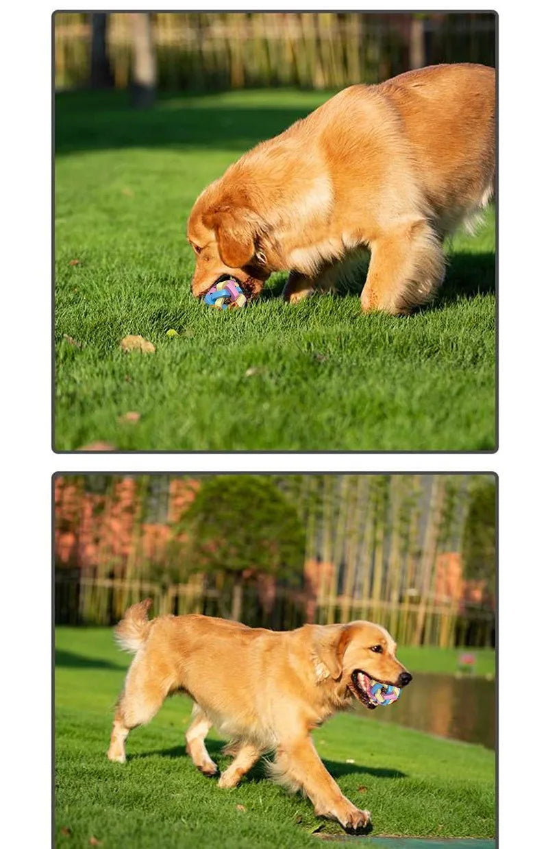 Interactive Dog Chew Ball – Durable Colorful Toy for All Breeds | Teething Relief
