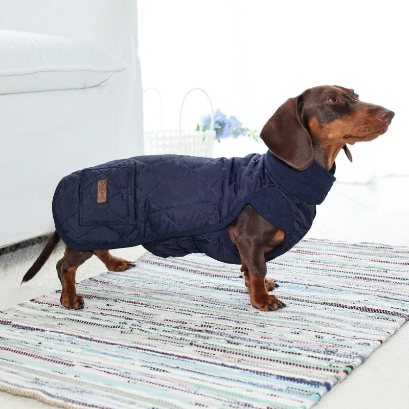 Winter Dog Vest – Warm Thickened Cotton Coat for Dachshunds & Small Breed
