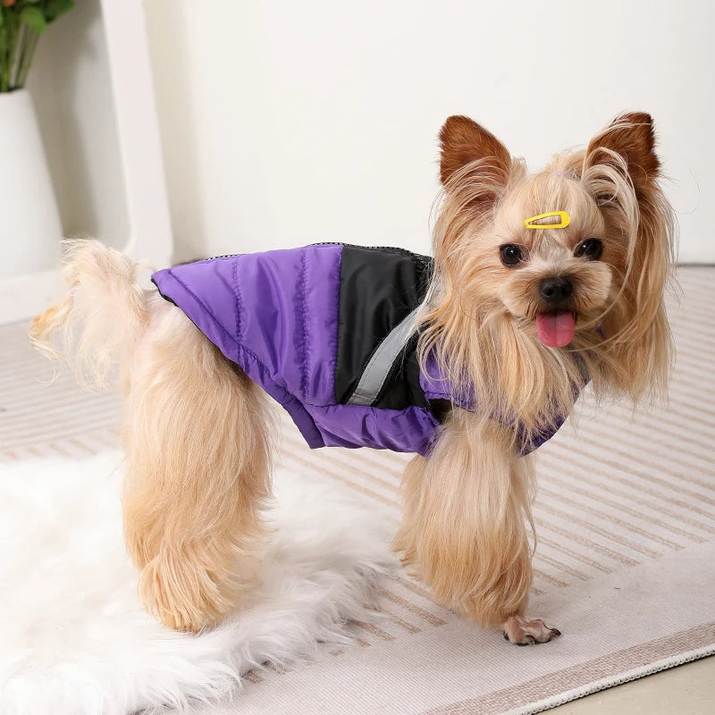 Waterproof Dog Jacket with Harness – Winter Reflective Coat for Small & Medium Dogs