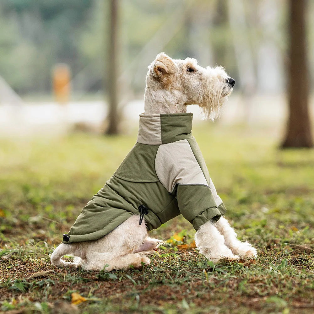 Winter Windproof Dog Coat – Warm Cotton Jacket for Small, Medium & Large Dogs