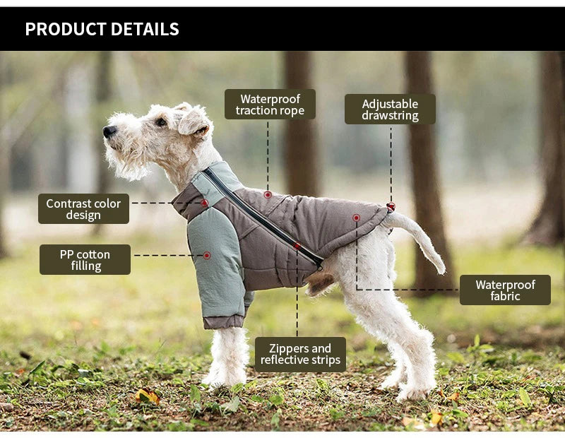 Winter Windproof Dog Coat – Warm Cotton Jacket for Small, Medium & Large Dogs