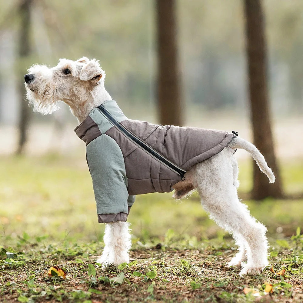 Winter Windproof Dog Coat – Warm Cotton Jacket for Small, Medium & Large Dogs
