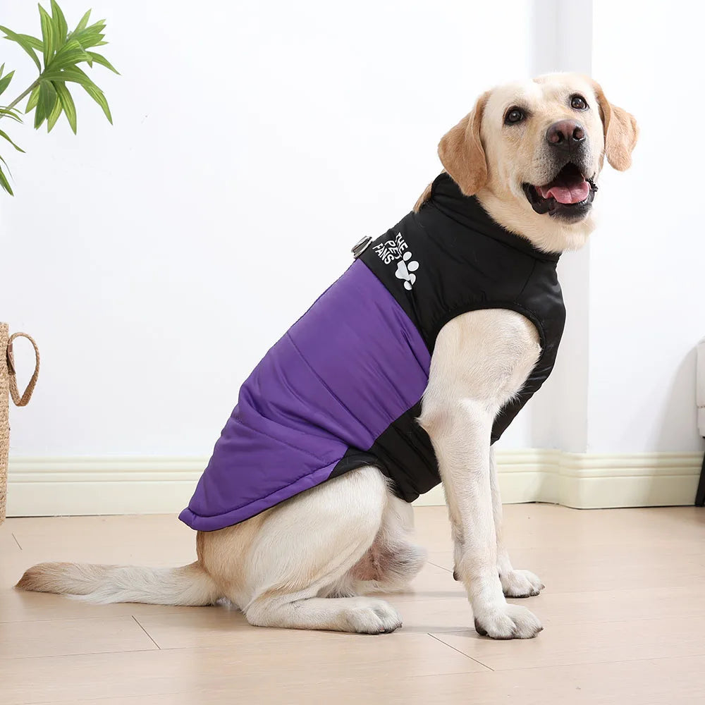 Winter Dog Jacket – Windproof & Cozy Coat for Medium and Large Breeds